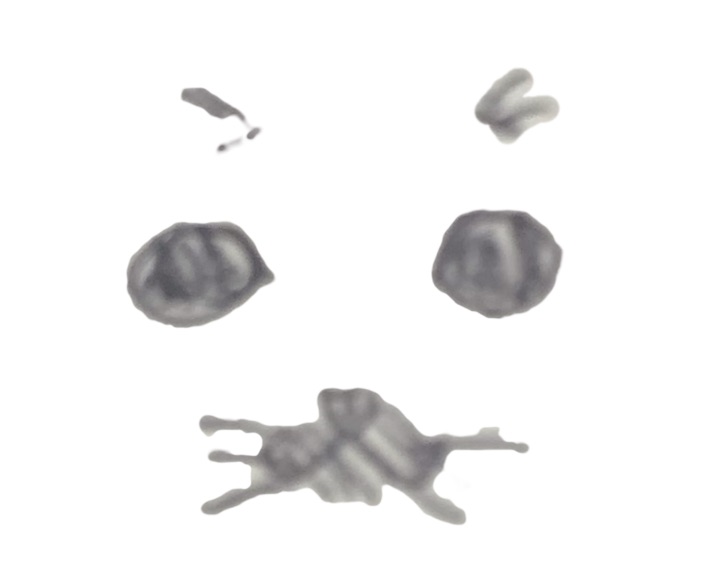 にっこり笑顔に見えるあざらし
