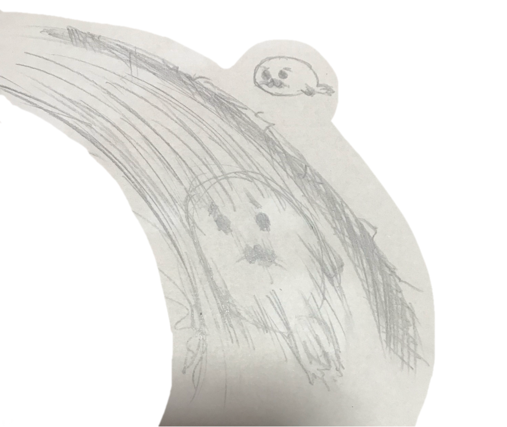 140km/hで滑るあざらし