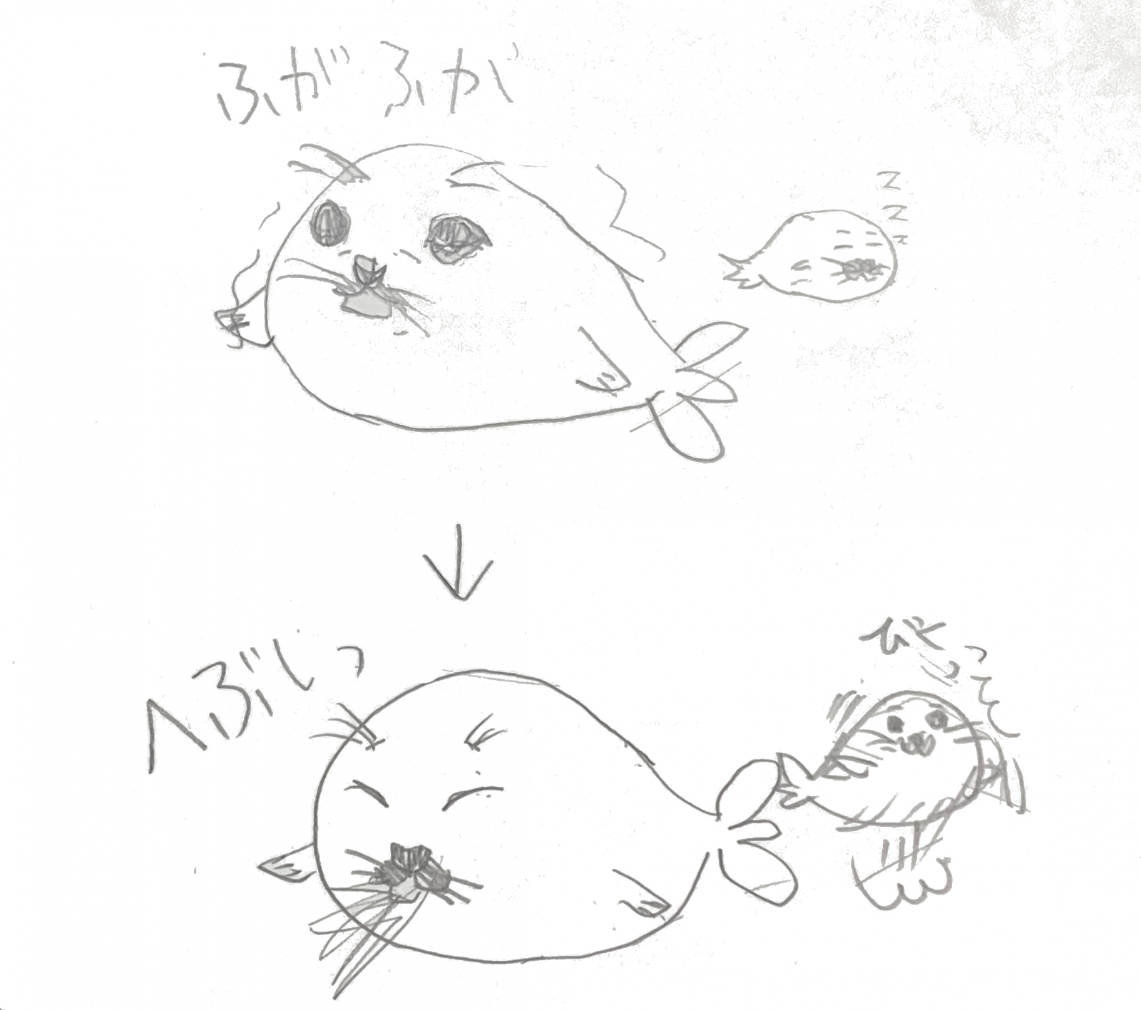くしゃみくしゃまれあざらし