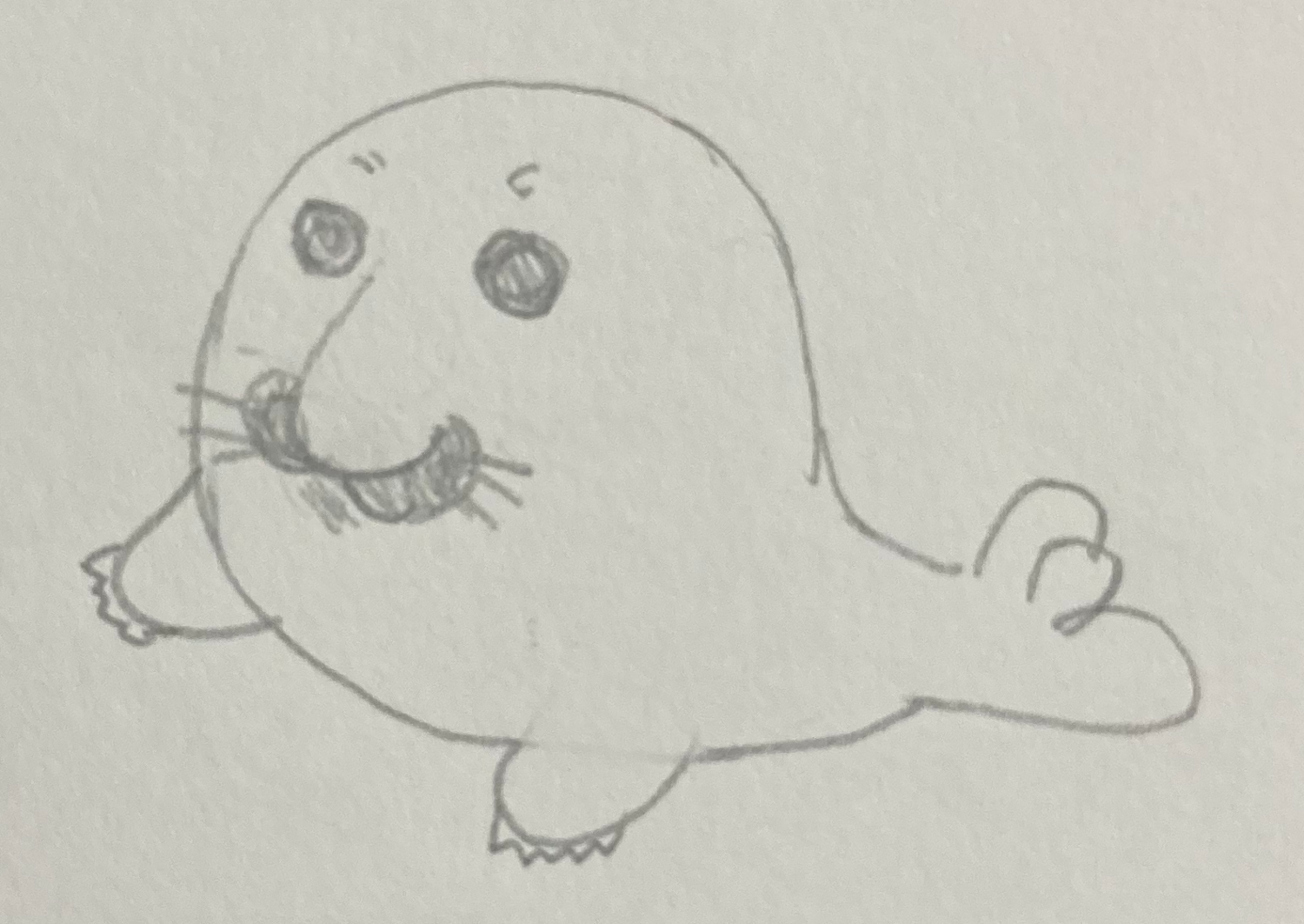 ぞうあざらし