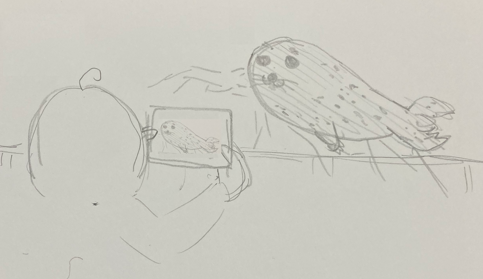 ごまふあざらし