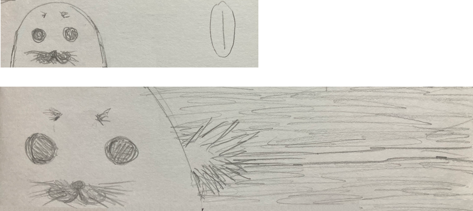 ひらめきあざらし